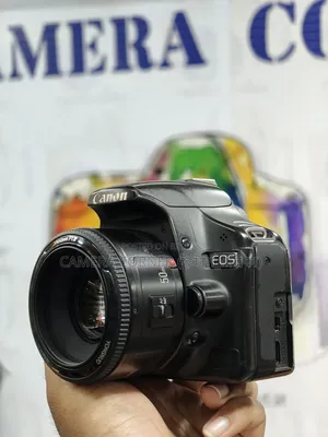 Canon 500D+50mm Yn F1.8