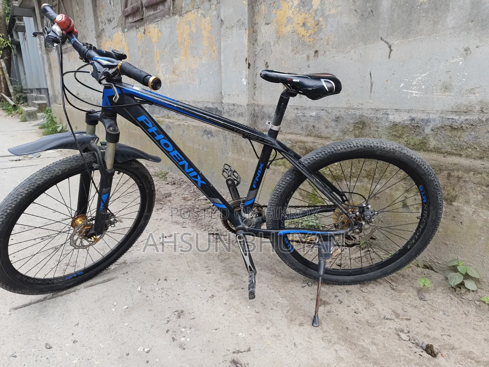 Phoenix Bicycle
