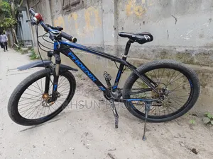Phoenix Bicycle