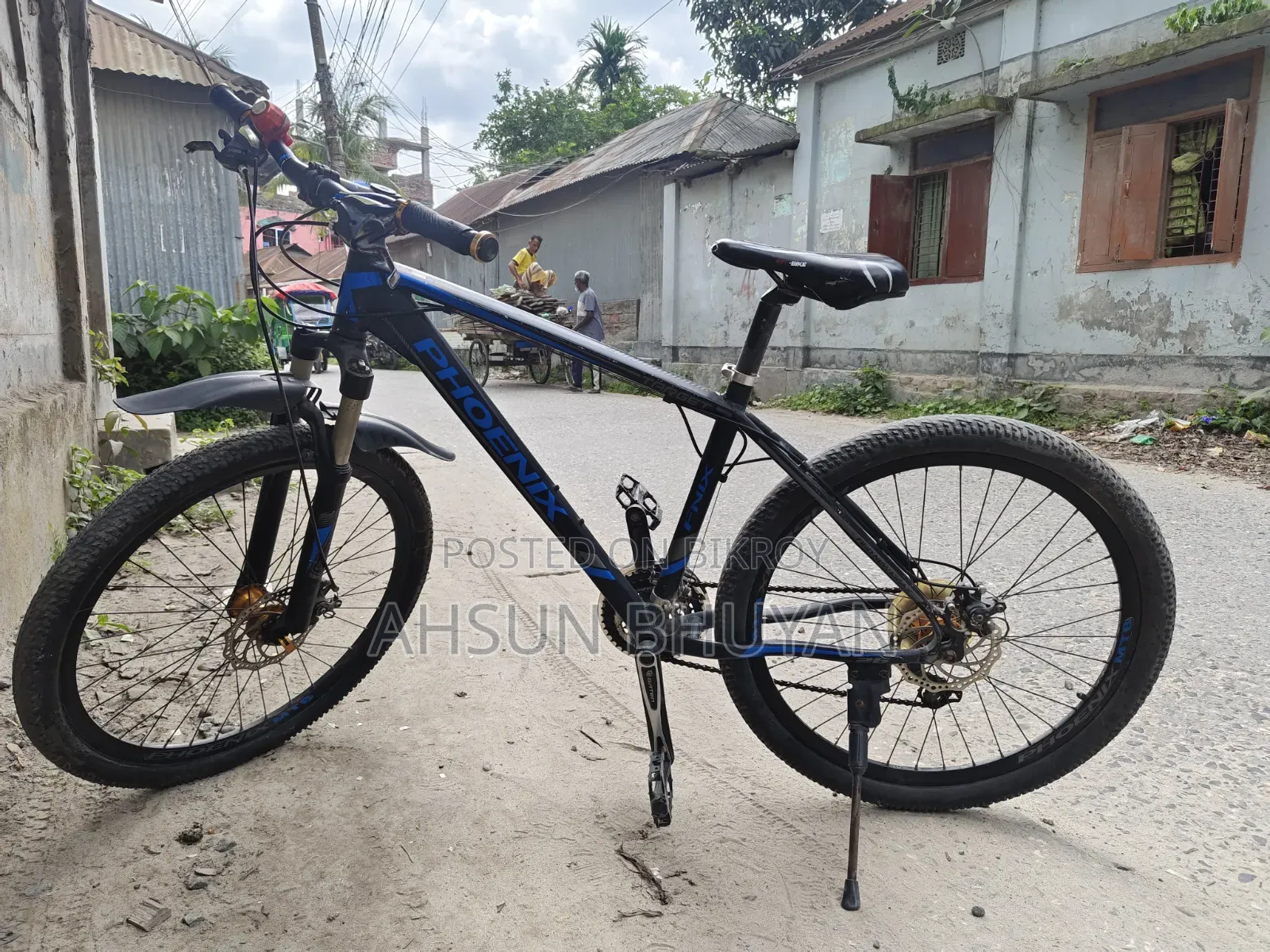 Phoenix Bicycle