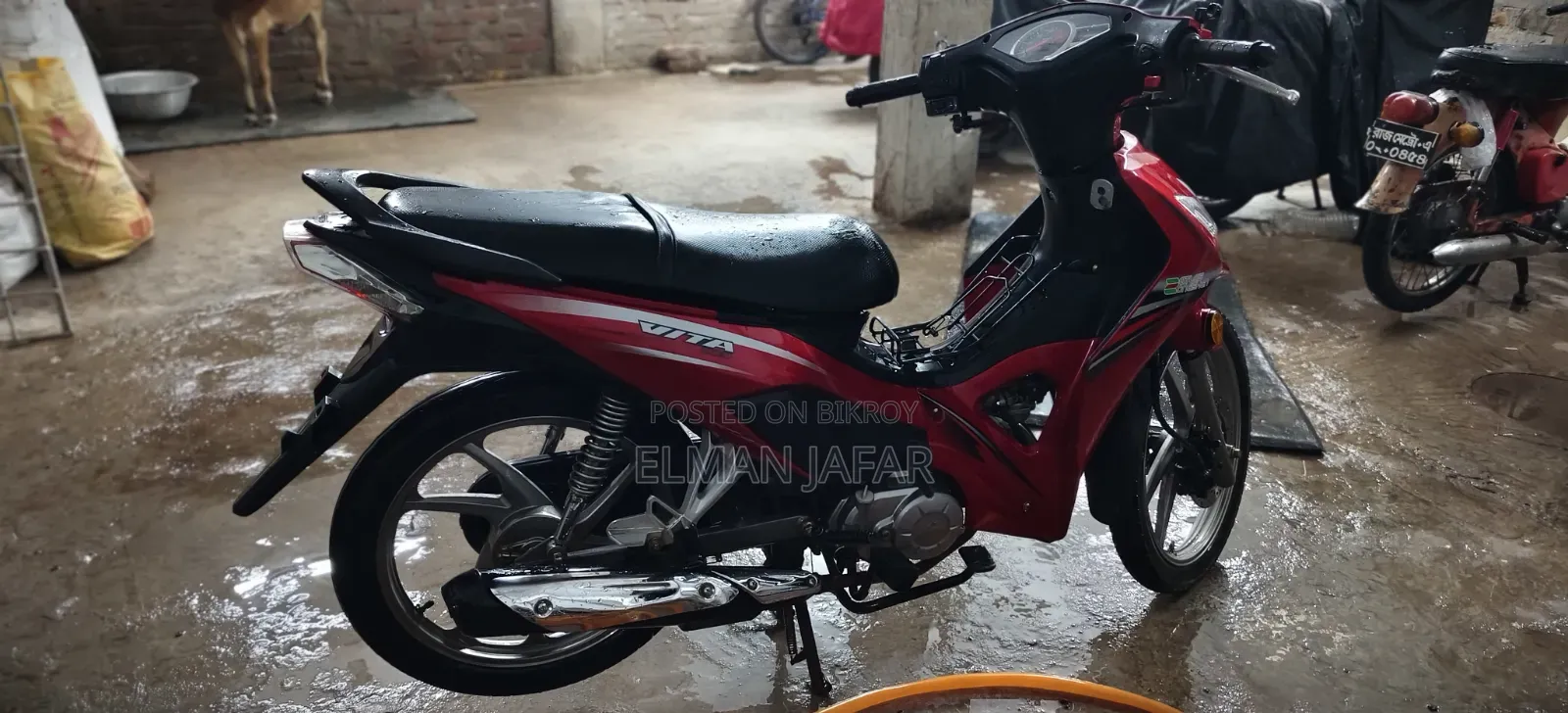 নিউ জংশেন ভিটা ২০২১ রেড