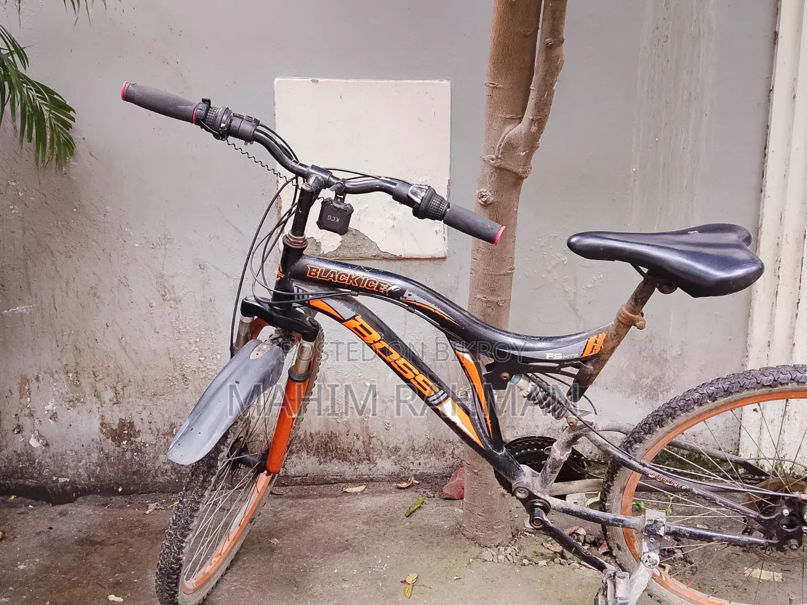 Used Bicycle