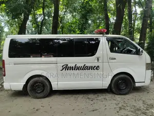 টয়োটা গ্র্যান্ড হাইয়েস লিমিটেড এক্সসেন্ট সংস্করণ ৩.৪ ভি৬ আরডব্লিউডি ৮-সিটার ২০০২