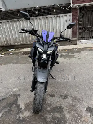 ইয়ামাহা এমটি-১৫ ২০১৯ নীল