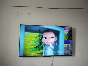 65" Television for sale