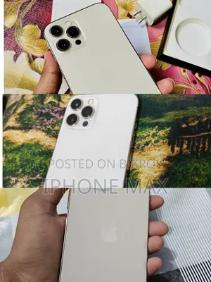 Apple iPhone 12 Pro Max 256 GB Gold