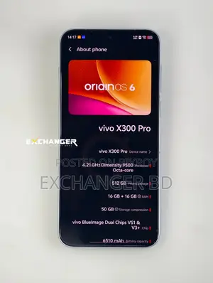 ভিভো এক্স৩০০ প্রো ৫১২ জিবি ব্লু