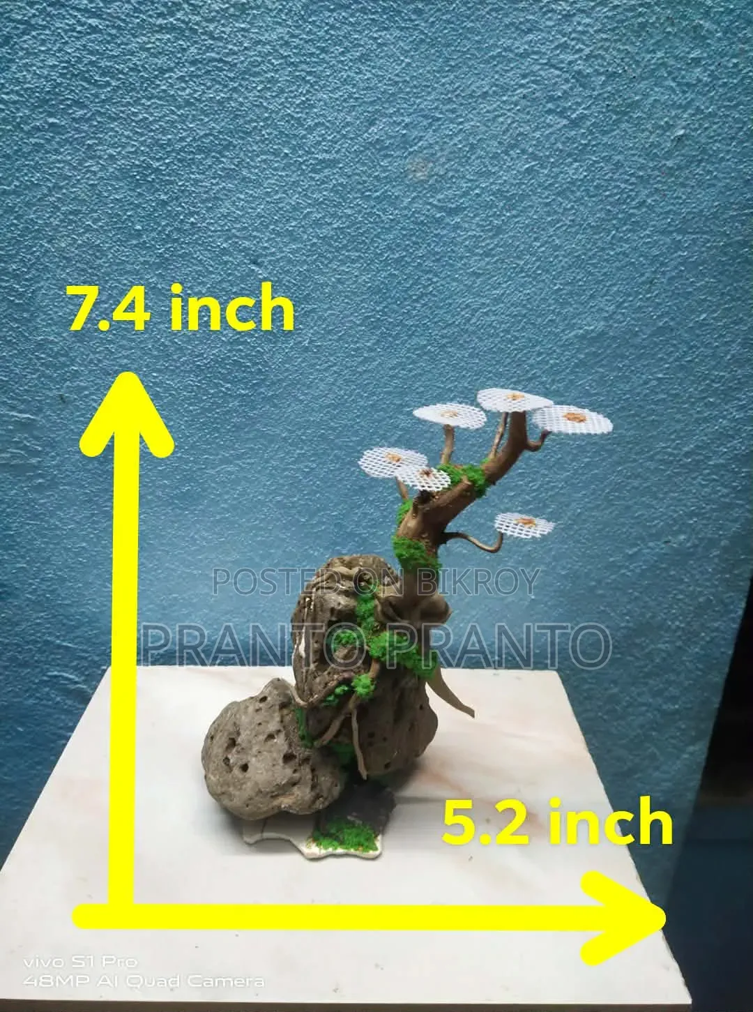 Aquarium Bonsai Drift Wood / Bogwood Craft