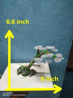 Aquarium Bonsai Drift Wood / Bogwood Craft