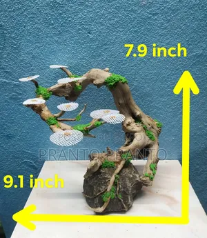 Aquarium Bonsai Drift Wood / Bogwood Craft