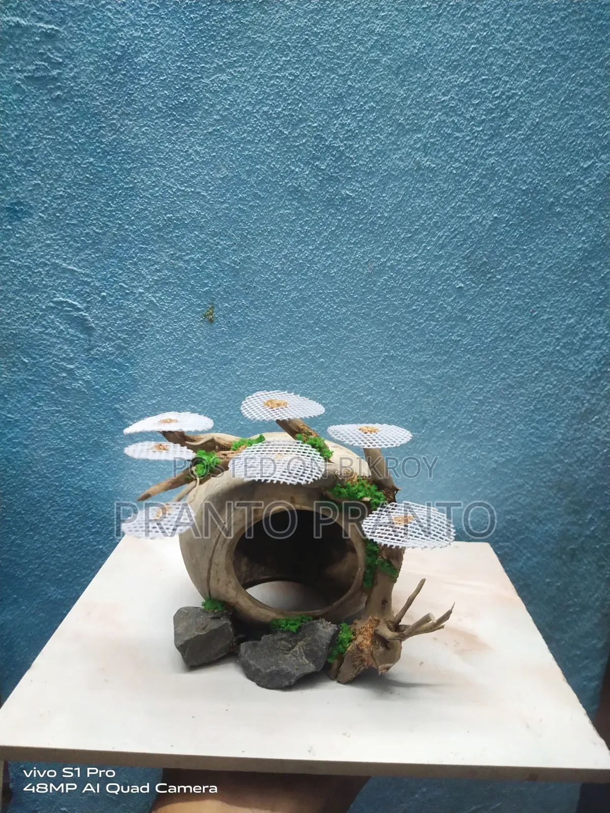 Aquarium Bonsai Drift Wood / Bogwood Craft