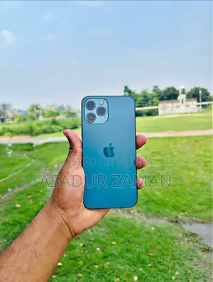Apple iPhone 12 Pro Max 256 GB Blue
