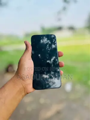 Apple iPhone 12 Pro Max 256 GB Blue