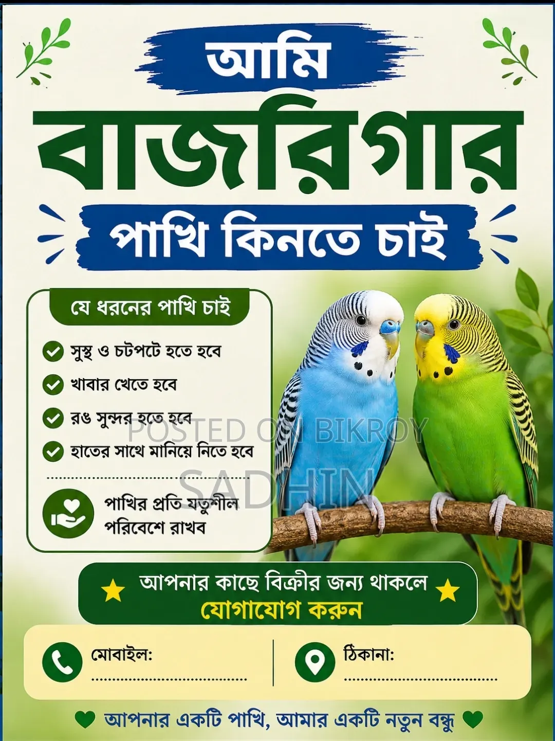 ১ জোড়া বাজরিগার পাখি দরকার
