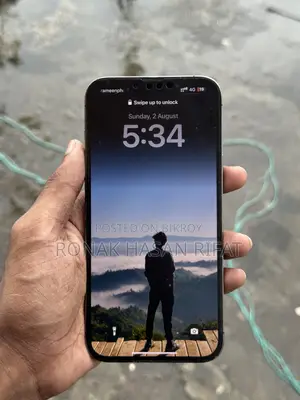 Apple iPhone 13 Pro Max 256 GB Black