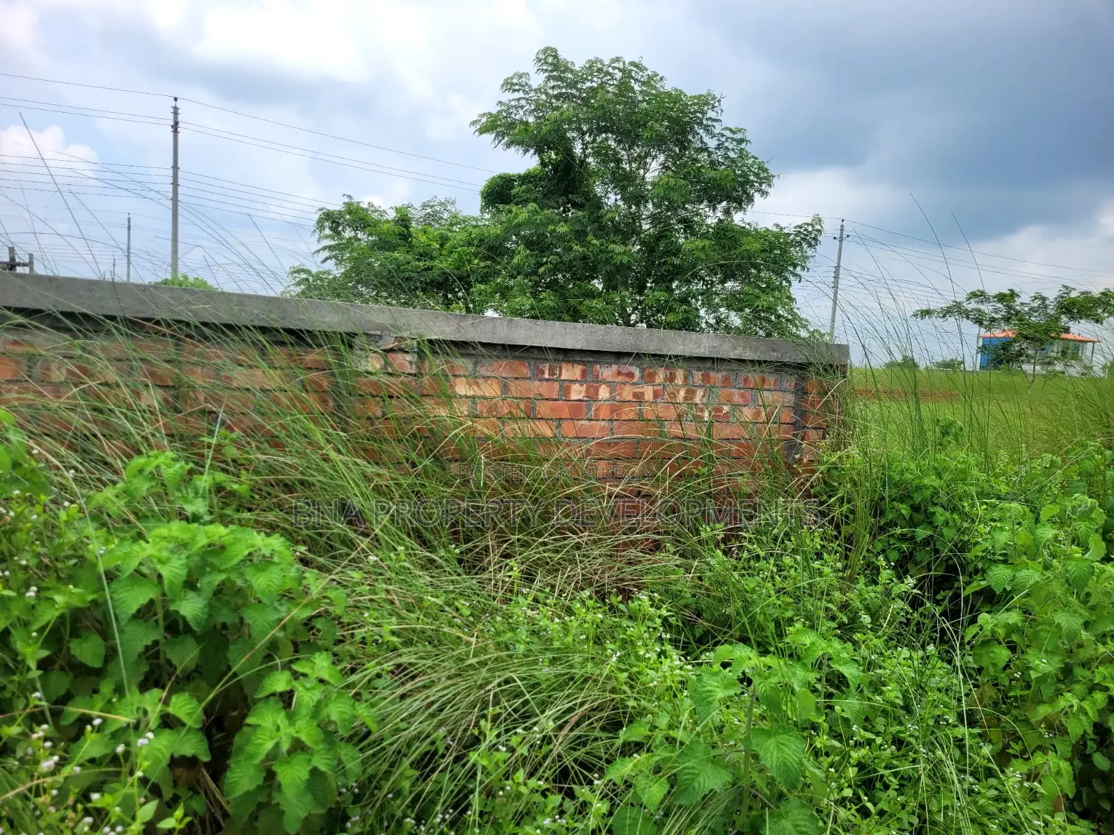 Bashundhara 3 Katha Plot for Sale | P Block 5500 Serial