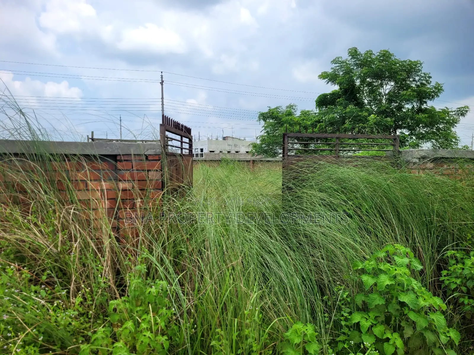 Bashundhara 3 Katha Plot for Sale | P Block 5500 Serial