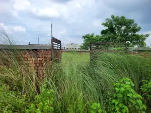 Bashundhara 3 Katha Plot for Sale | P Block 5500 Serial
