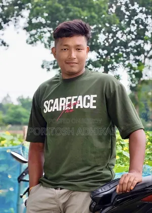 Realme 14 Pro+ 256 GB Gray