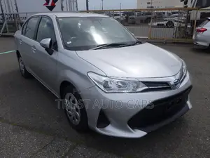 Toyota Axio 2021 Silver