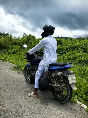 Bajaj Pulsar 150 2017 Blue