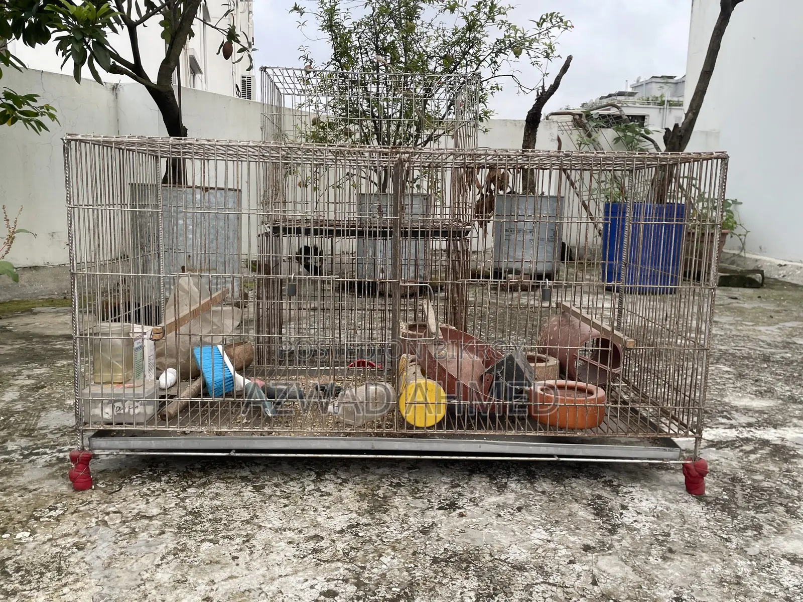 Cage (Khacha)