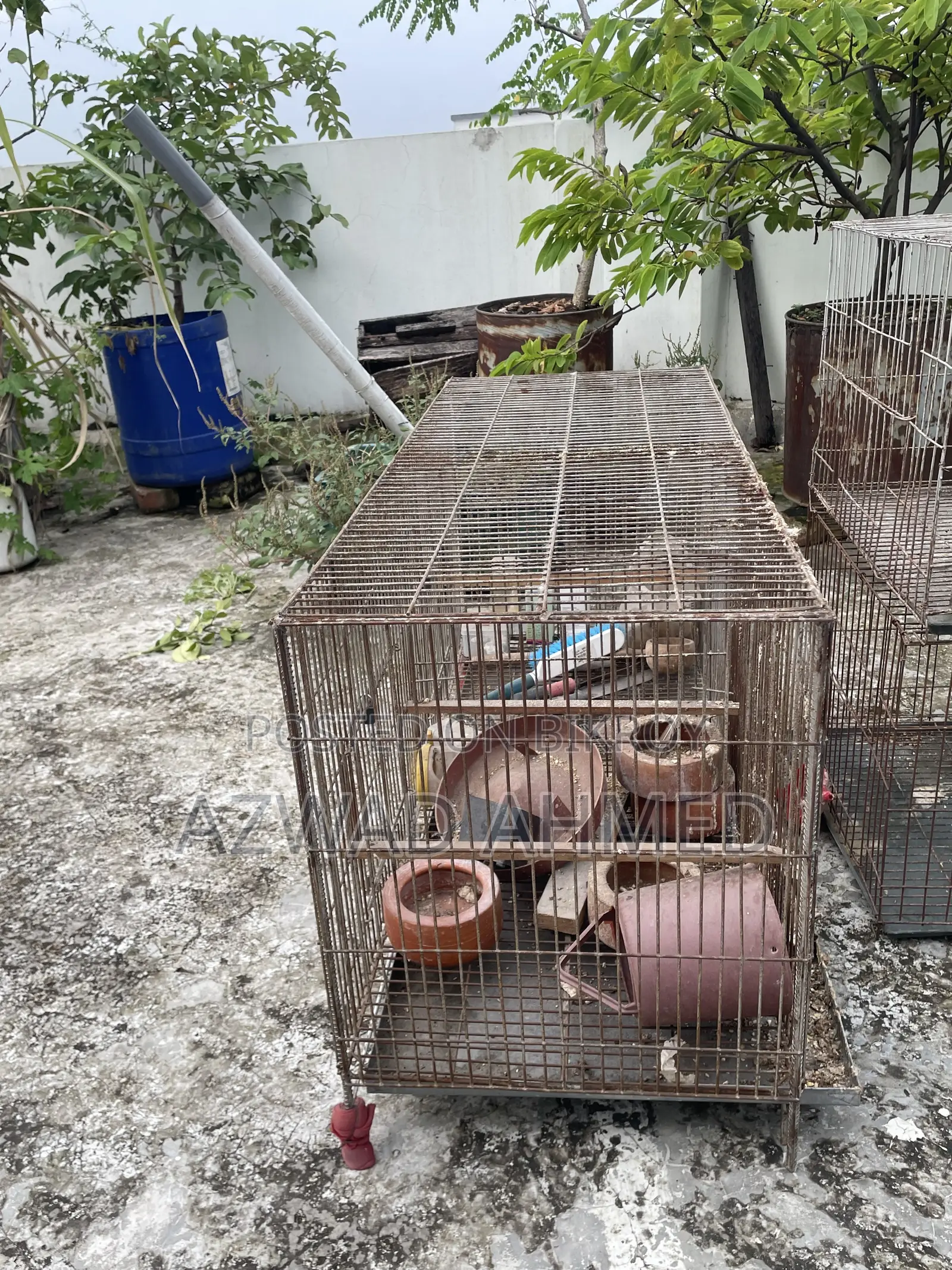 Cage (Khacha)