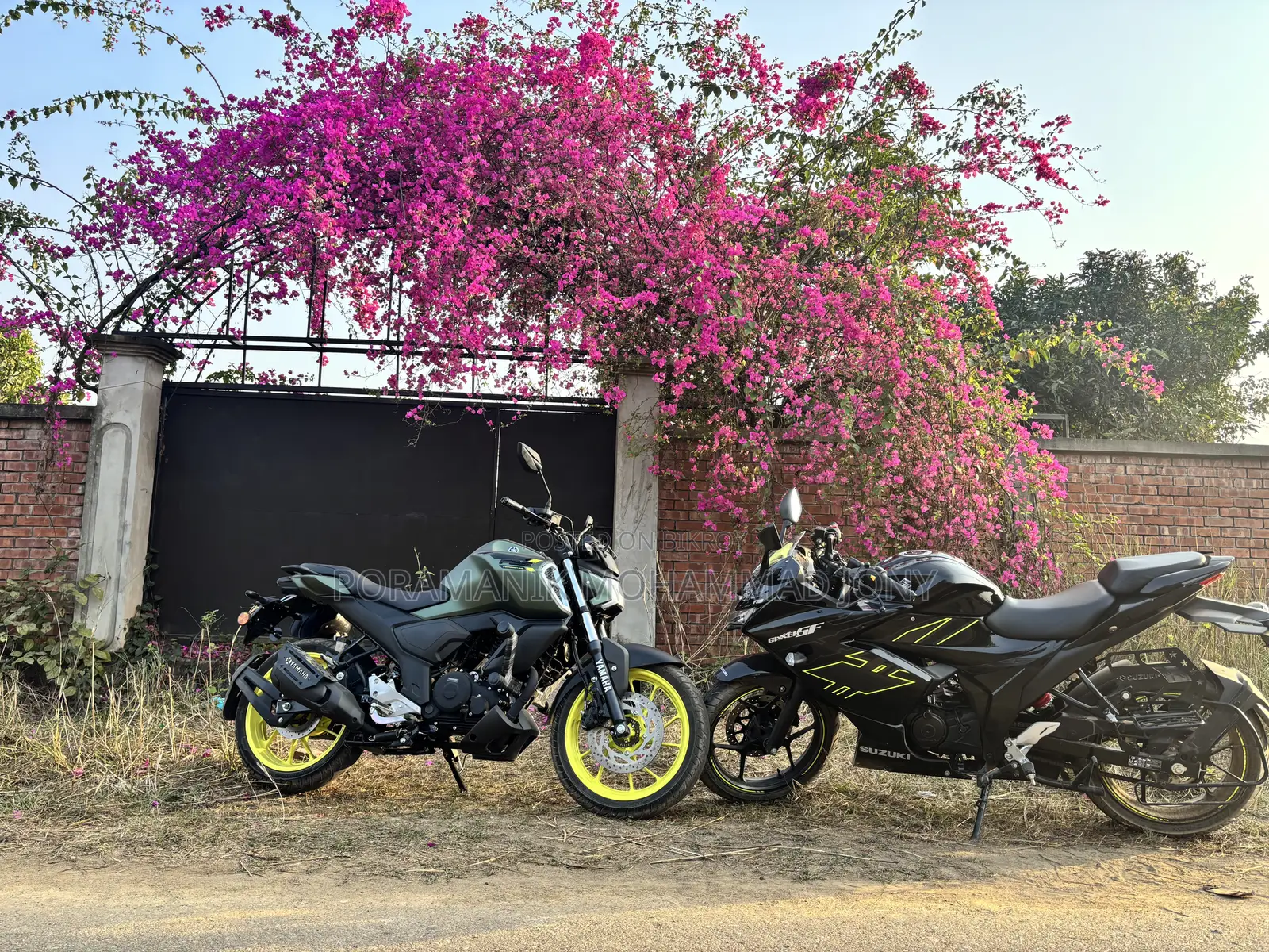 ইয়ামাহা এফজেডএস ভি৪ ২০২৫ গ্রিন