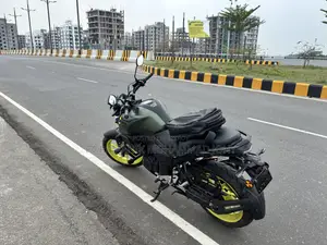 ইয়ামাহা এফজেডএস ভি৪ ২০২৫ গ্রিন