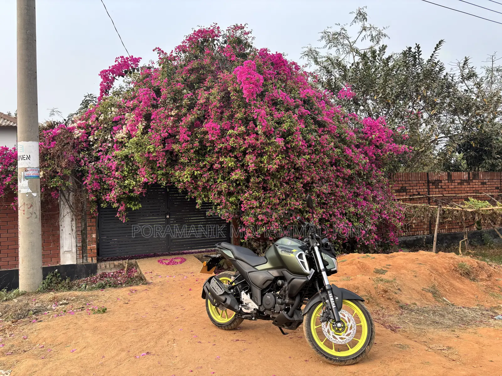 ইয়ামাহা এফজেডএস ভি৪ ২০২৫ গ্রিন