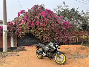 ইয়ামাহা এফজেডএস ভি৪ ২০২৫ গ্রিন