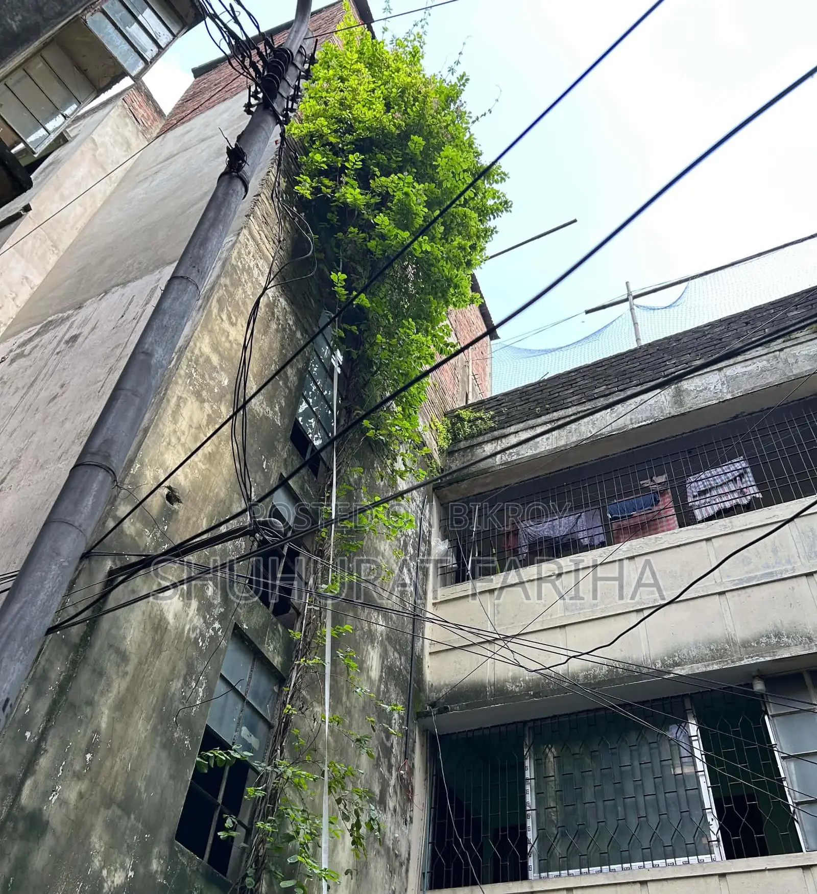ধানমন্ডিতে ৩ বেডরুমের অ্যাপার্টমেন্ট ভাড়া দেওয়া হবে