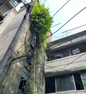 ধানমন্ডিতে ৩ বেডরুমের অ্যাপার্টমেন্ট ভাড়া দেওয়া হবে