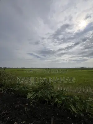 শরীয়তপুর সদরে প্রাইম লোকেশনে সুলভ মূল্যে জমি বিক্রি করা হবে