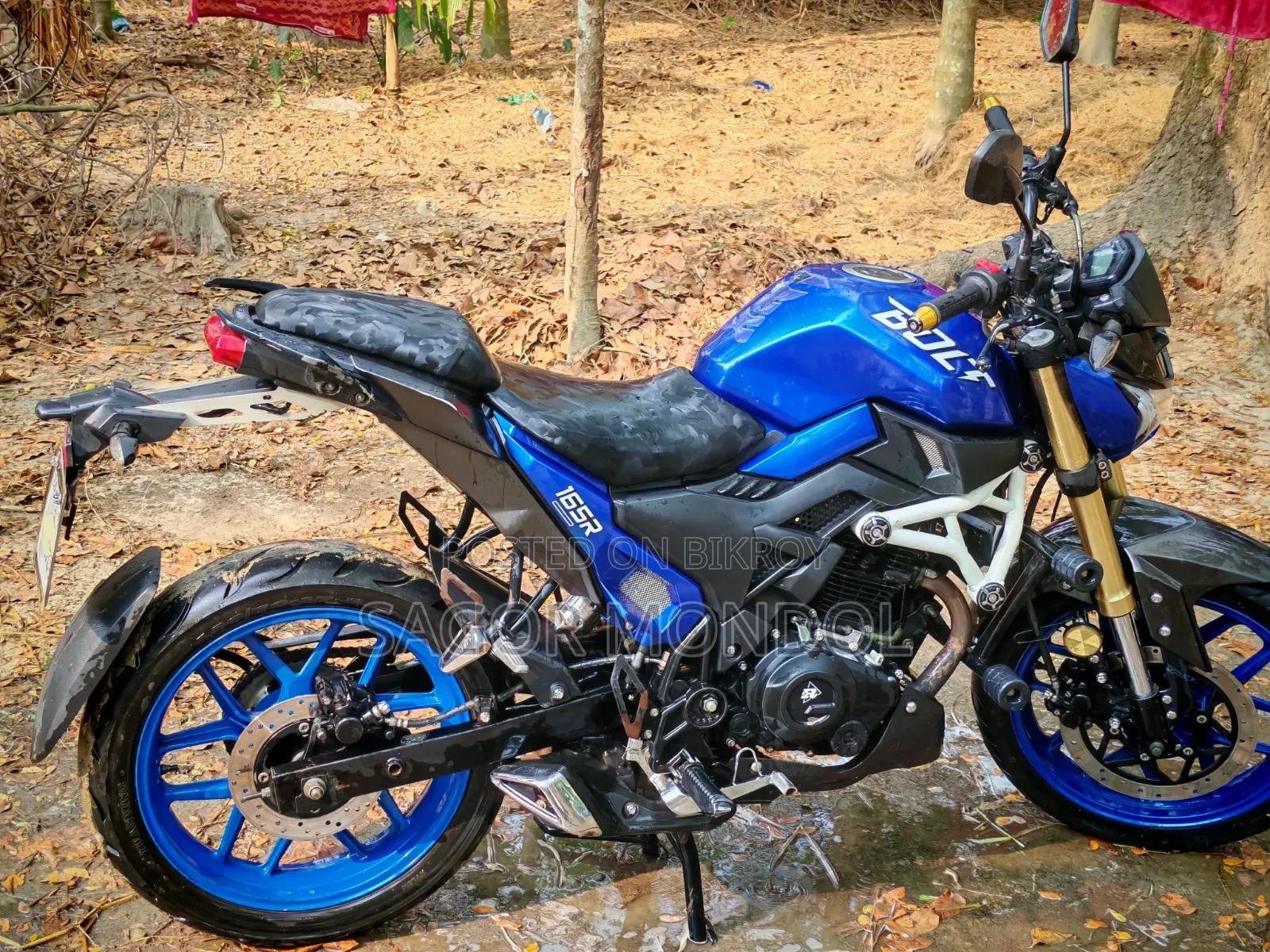 Runner Bolt 165R 2022 Blue
