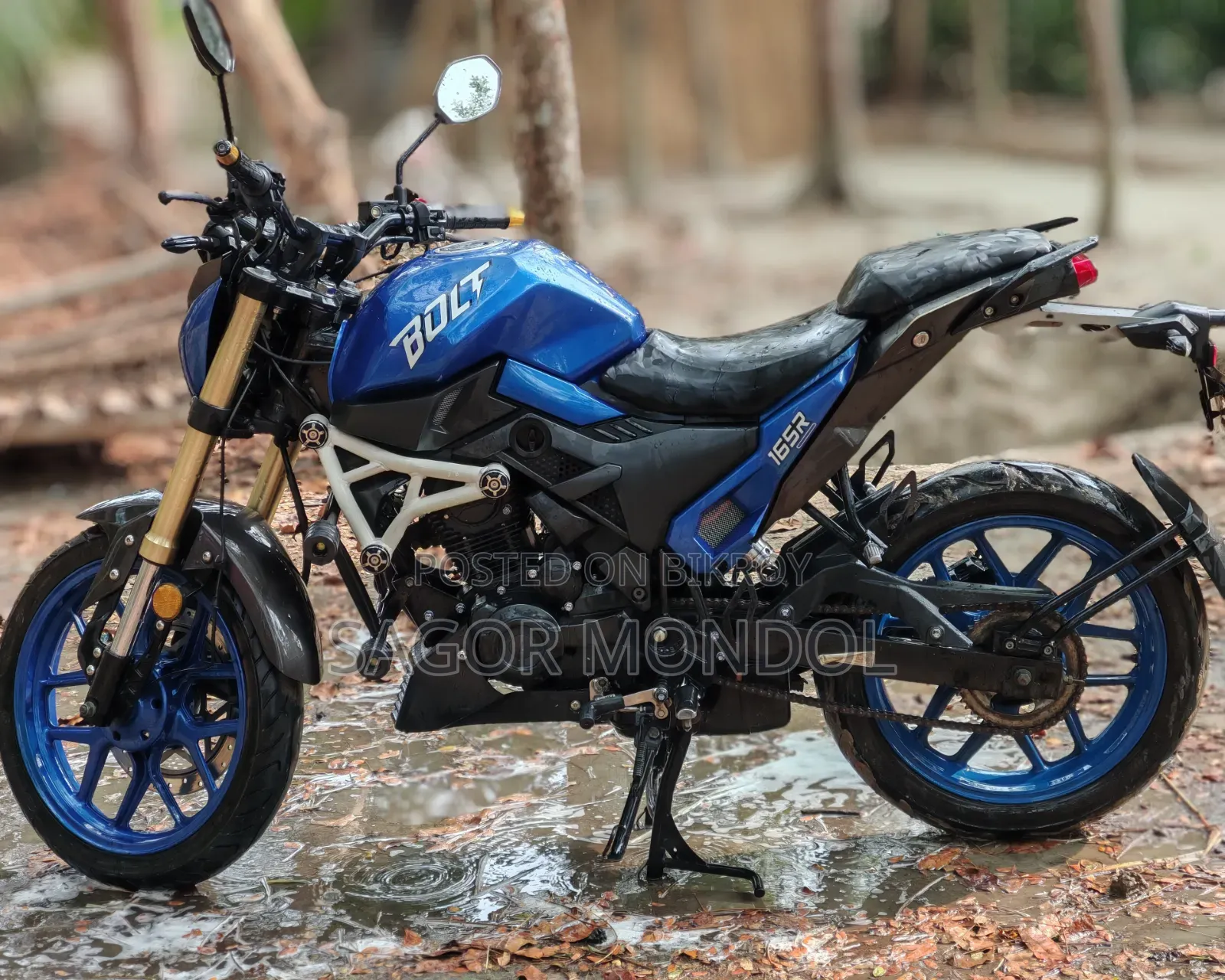 Runner Bolt 165R 2022 Blue