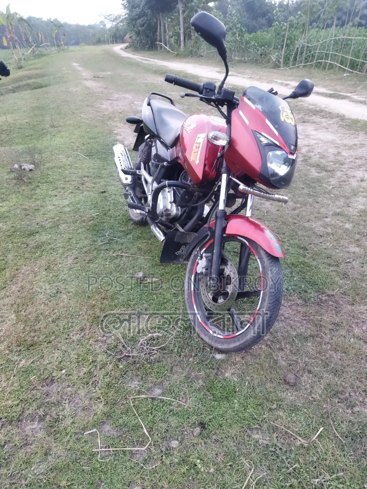 বাজাজ পালসার ১৫০ ২০১২ লাল
