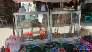 Display Showcase For Sale 2 Pcs