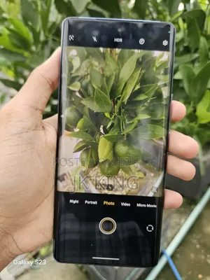 Vivo V29 256 GB Silver