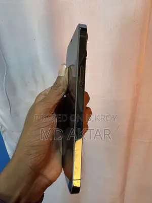 অ্যাপল আইফোন ১২ প্রো ম্যাক্স ২৫৬ জিবি ব্লু