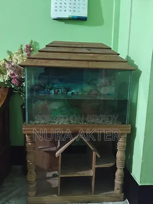 Fish Aquarium