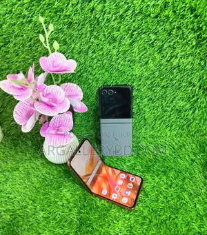 মোটরসাইকেল রেজ্র ৫০ ২৫৬ জিবি অরেঞ্জ