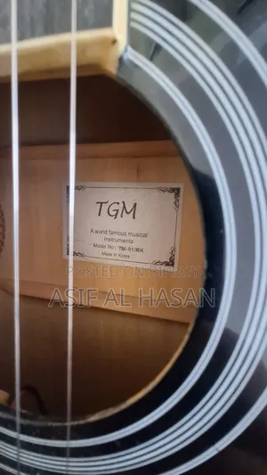 TGM- Guiter