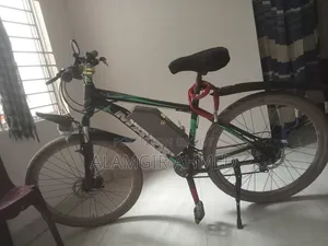 ইলেকট্রিক বাইসাইকেল