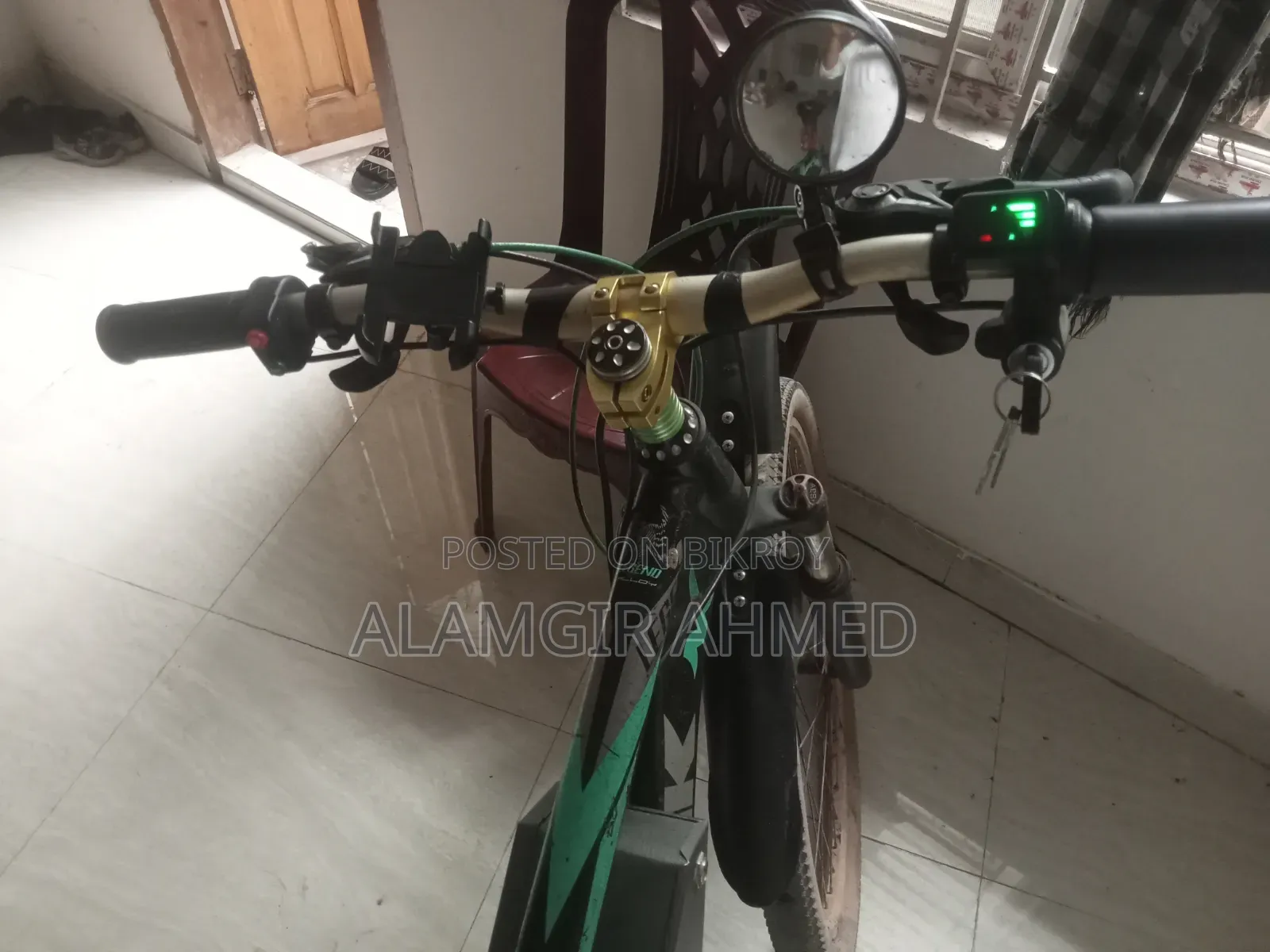 ইলেকট্রিক বাইসাইকেল