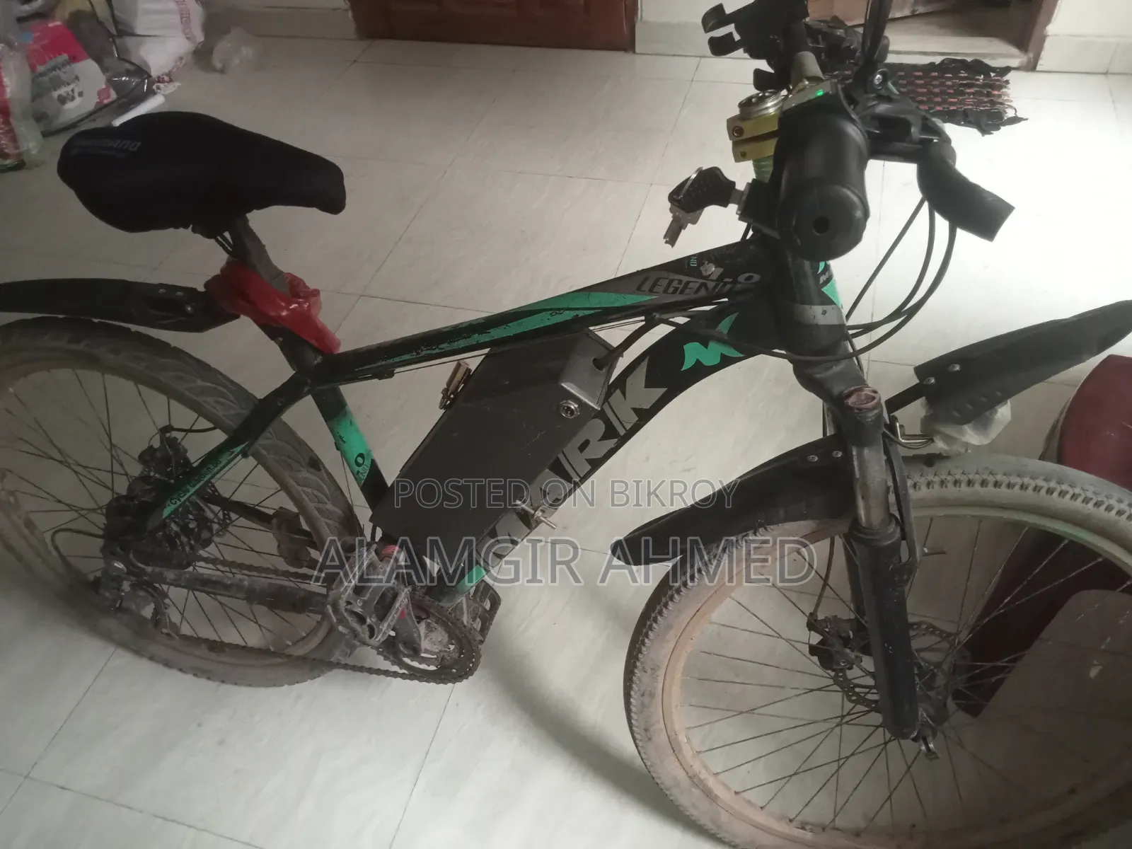 ইলেকট্রিক বাইসাইকেল