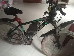 ইলেকট্রিক বাইসাইকেল