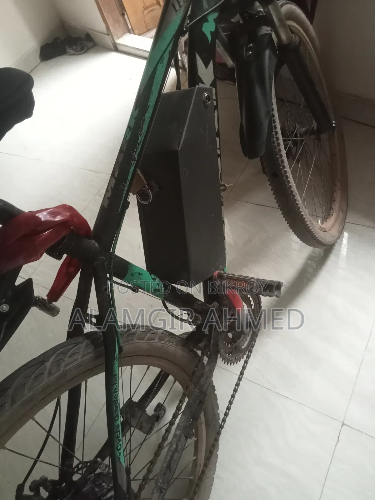ইলেকট্রিক বাইসাইকেল