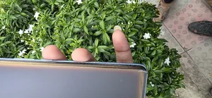 Realme 10 Pro+ 128 GB Blue