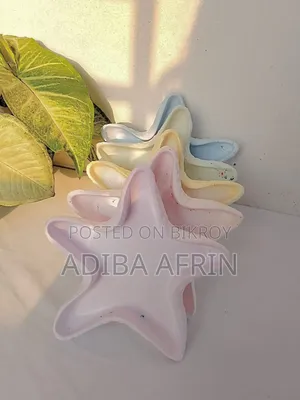 জিপসাম স্টারফিশ ট্রিনকেটস